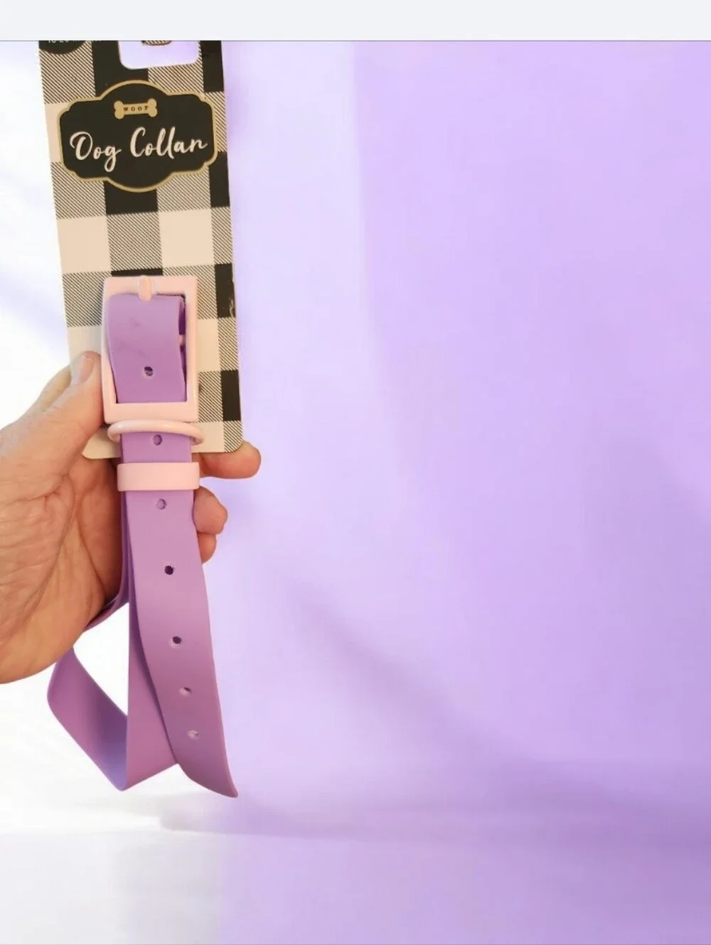 Lavender Silicone Dog Leash & Collar Pale Pink Hardware